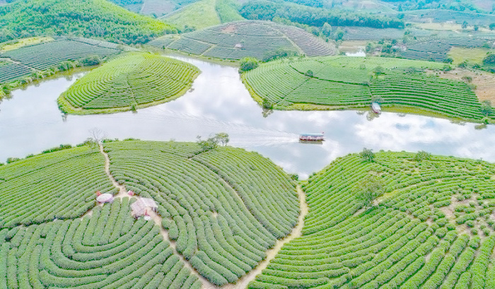 Du khách có thể tham quan đồi chè Thanh Chương vào bất kỳ thời điểm nào trong năm. Đây là đồi chè duy nhất đưa du khách tham quan bằng thuyền